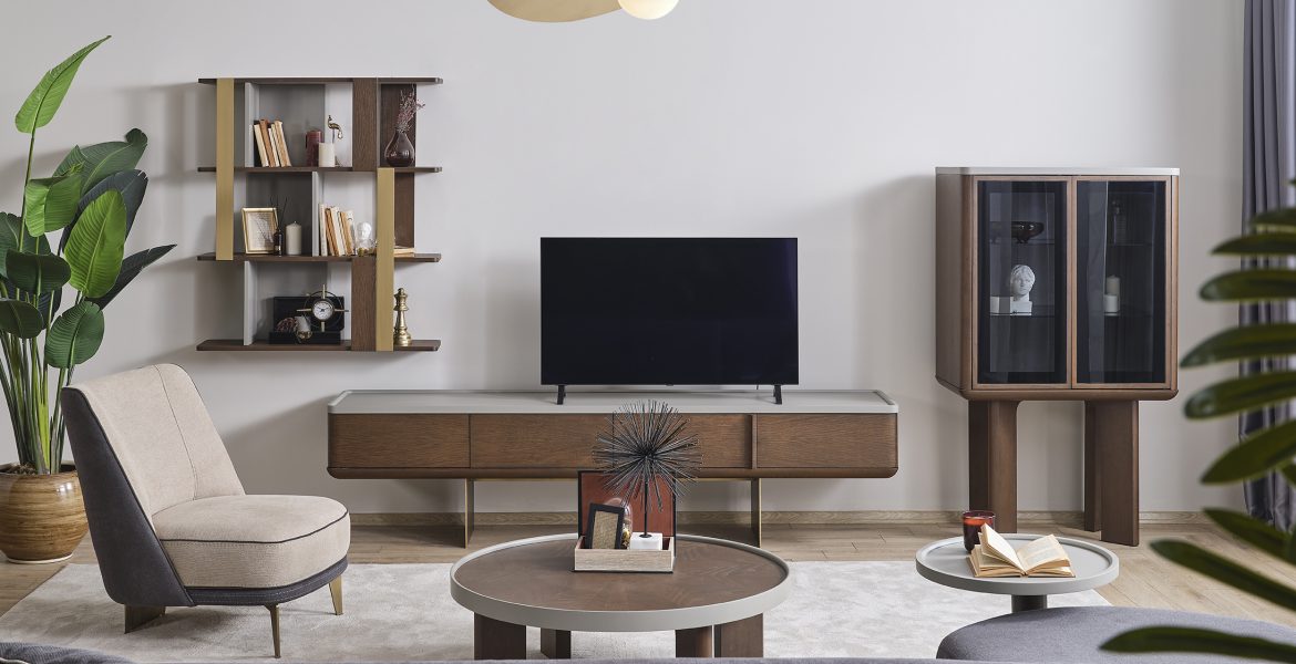 Contemporary TV cabinet with minimalist design.