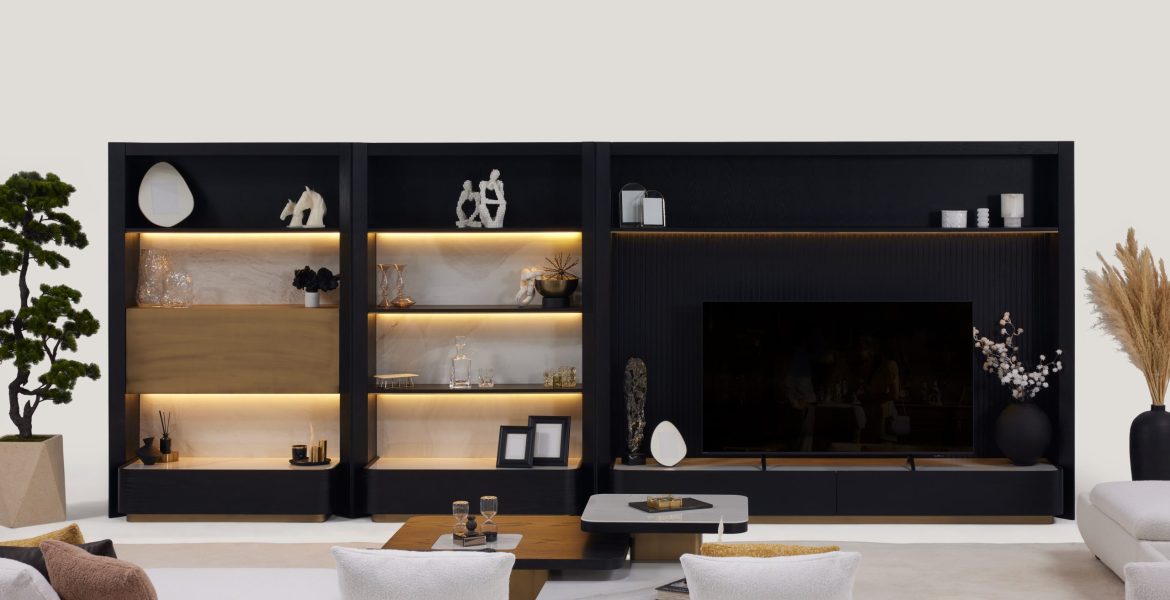 Petra Modern Best TV Stand arranged in living room.