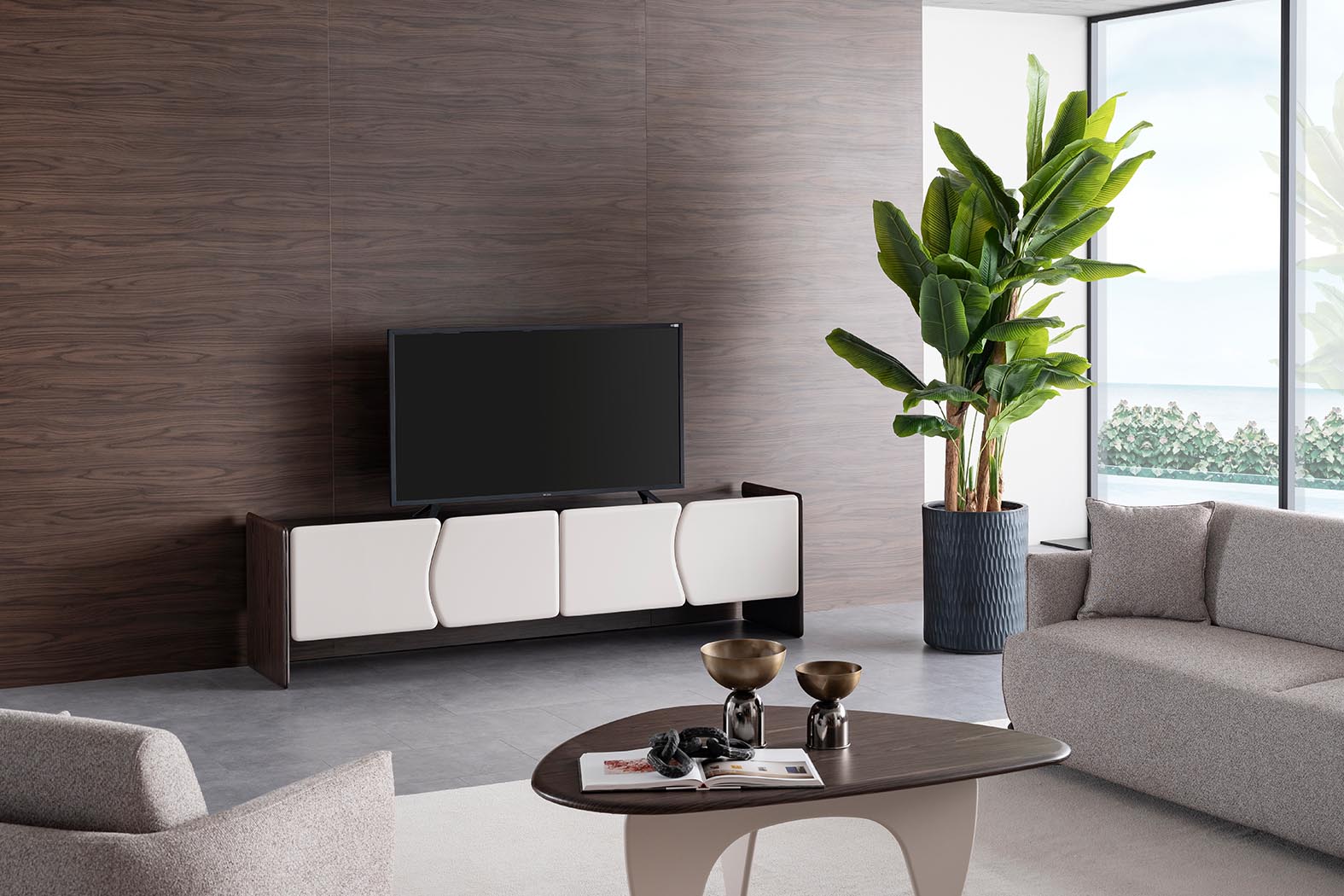 Canyon Modern TV Unit arranged in living room.