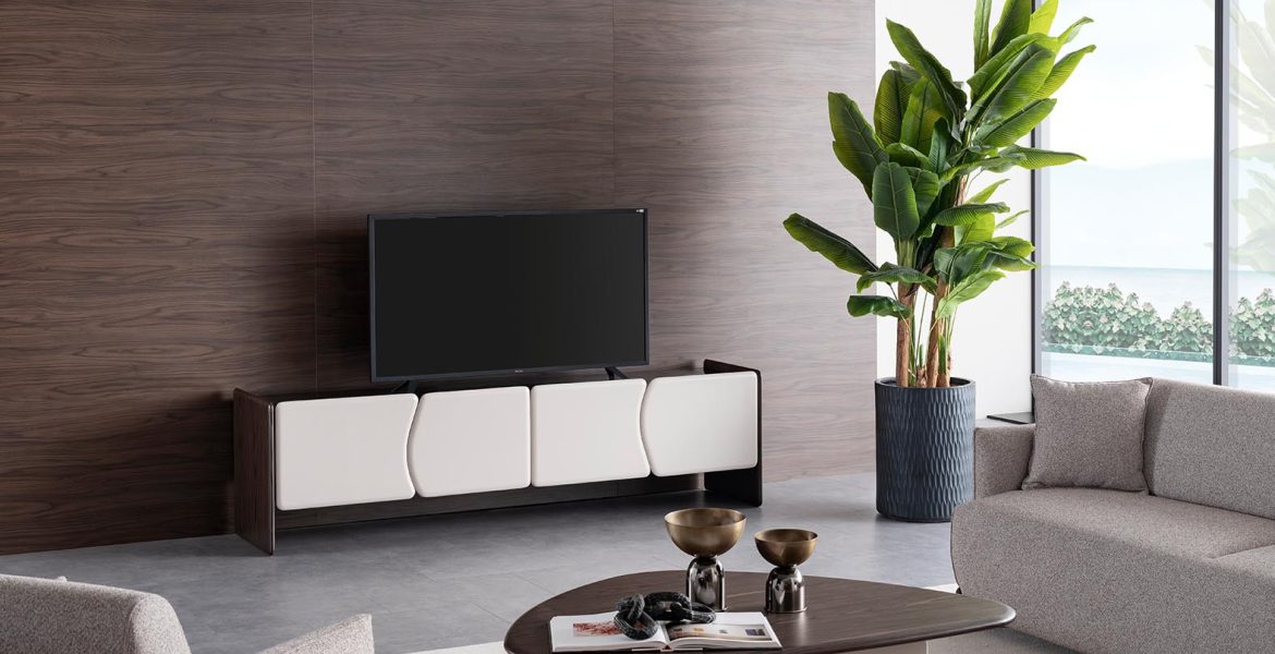 Contemporary TV cabinet with minimalist design.